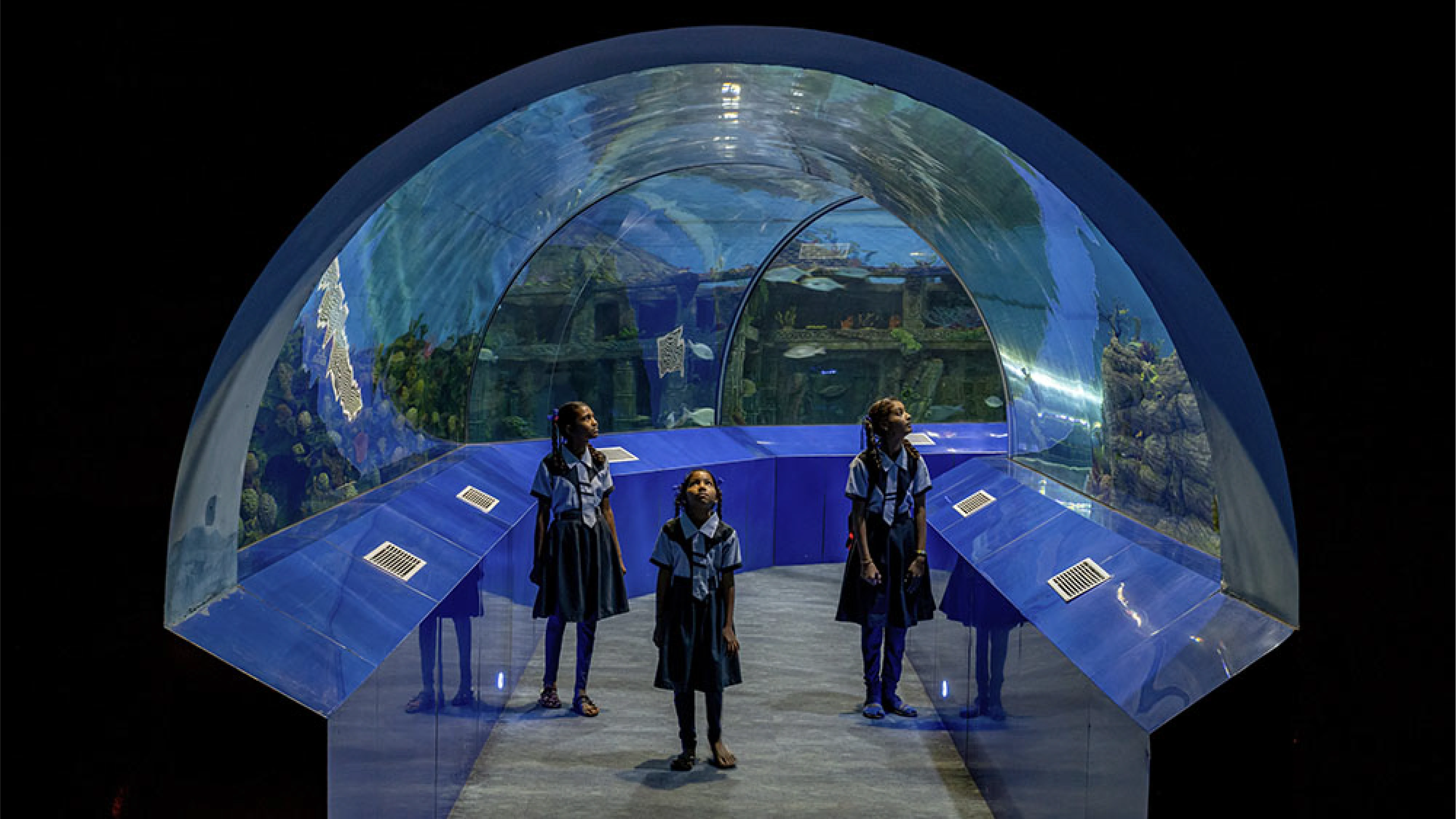 Aquatics Museum